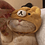 cats_hurricane