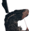 Doomroar