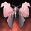 elnara