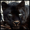 pantheraonca